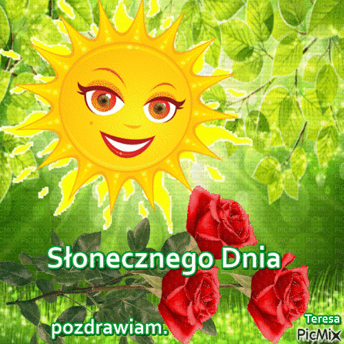 Słonecznego dnia słońce różyczki